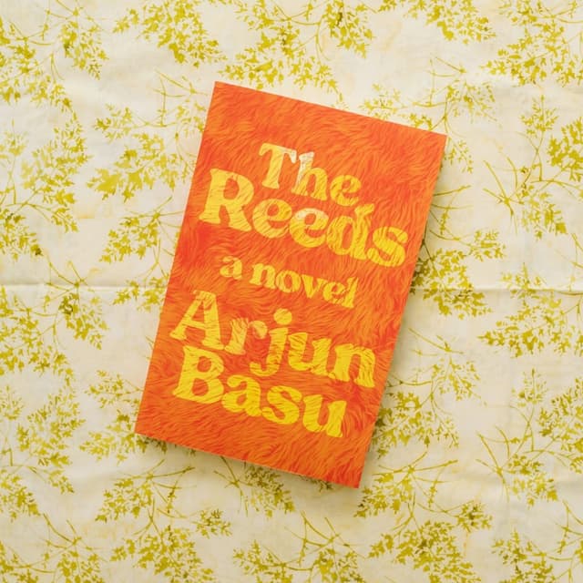 Family and the weight of change in Montreal's West End: Arjun Basu's latest novel, The Reeds